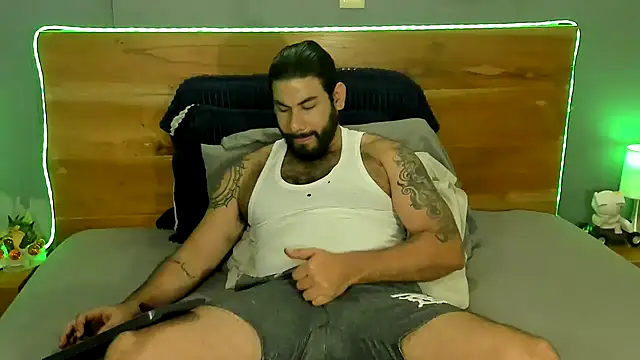 Prometeo-grizzly webcam