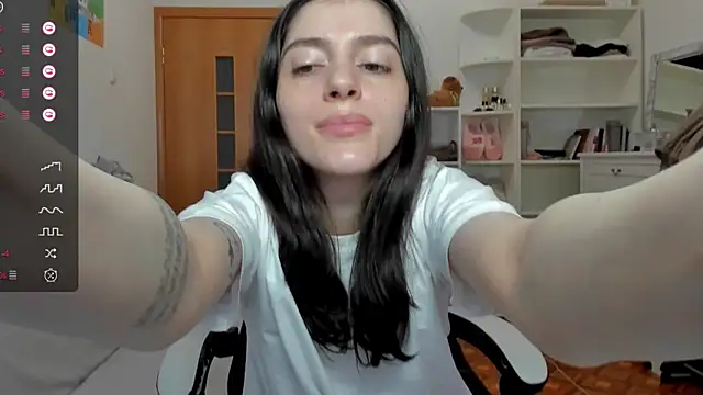 broosnica1 webcam