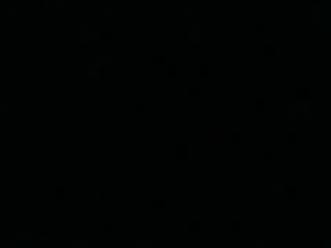 Tigerhill2023 webcam