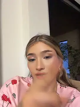 Arianavillada webcam