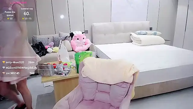 Muxi-destiny520 webcam