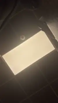 queenkelly1234 webcam