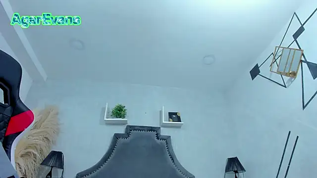 AgarEvans webcam