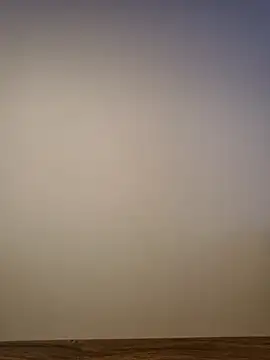 alphagymmale (M young) - Cumshow 💦