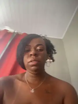 Priihmedeiros webcam