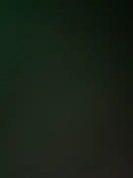 ChicagoMadeThirdLeg webcam