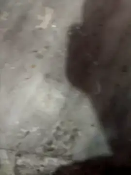 hardcore_coupe (M young) - Cum