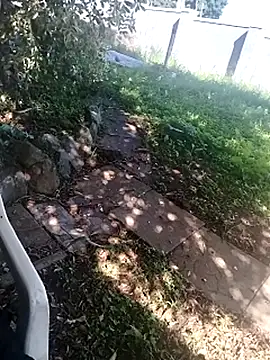 hemilynthomas2467 webcam