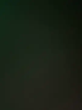 ChicagoMadeThirdLeg webcam