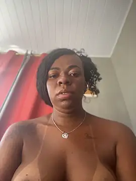 Priihmedeiros webcam