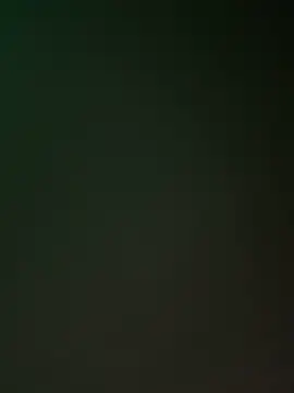 Preview of chicagomadethirdleg