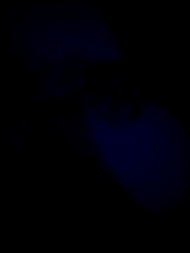 Chennaifunlove96 webcam