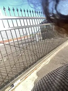 terrestrial-mermaid webcam