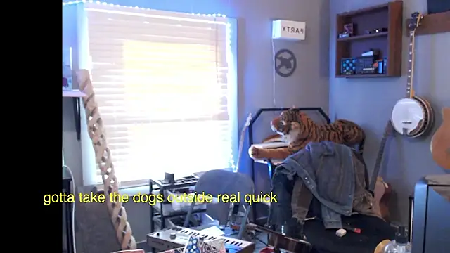 itsjameswebbscope webcam