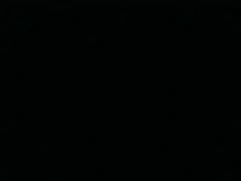 Tigerhill2023 webcam