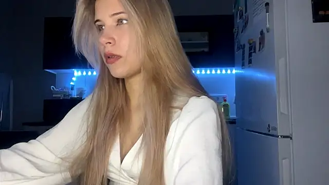 LevelledPilot webcam