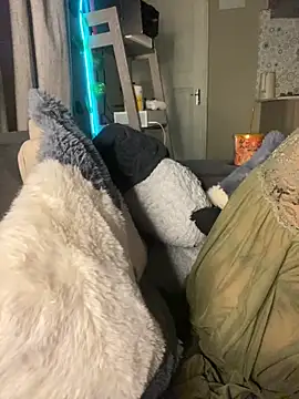 YellowHoneyDip webcam