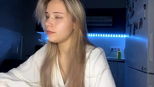 LevelledPilot webcam