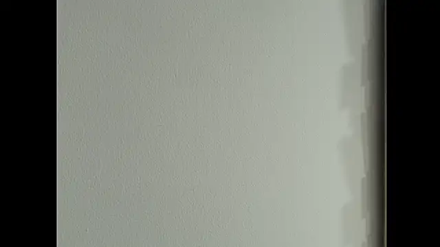 Angell_cooper webcam