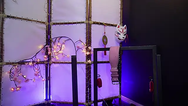 Greiz_SubKimura webcam