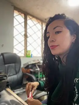 SALOME_KORLAND webcam