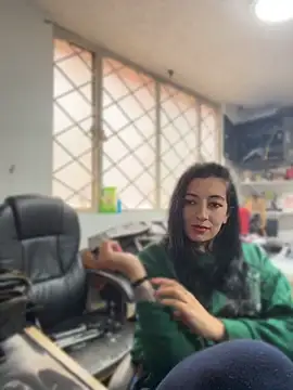 SALOME_KORLAND webcam