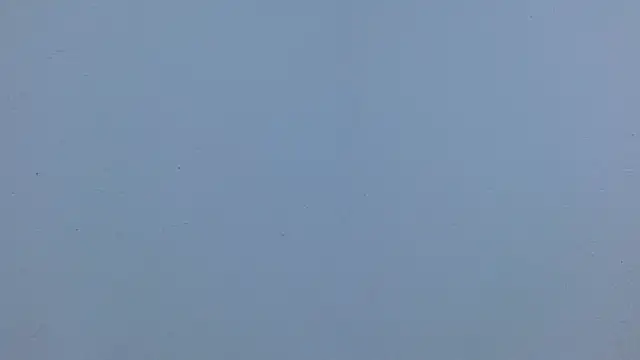 isabel_24_gil webcam