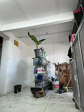 paul22cm- (Ask my age) - suck my balls