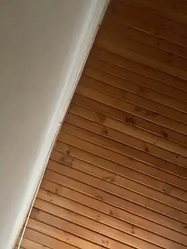 Michaell_Spinelly webcam