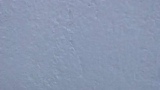 carolina_zabala_19 - Carolina_zabala_19's free webcam - UK Sex Cams