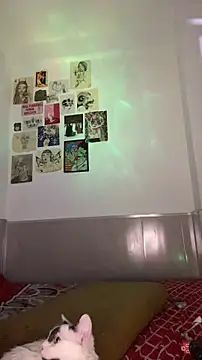 VenusDeMilo_55 webcam