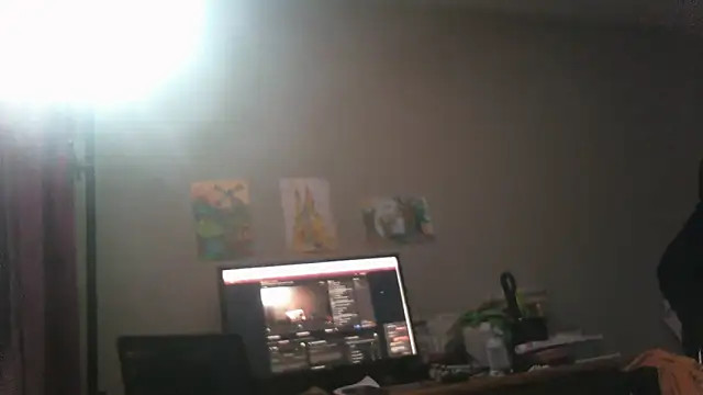 Sandra_Potiche webcam