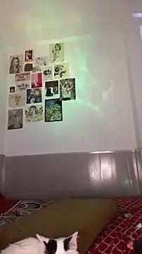 VenusDeMilo_55 webcam