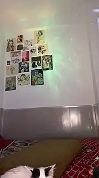 VenusDeMilo_55 webcam