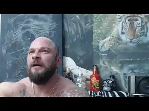 Preview of viking_30