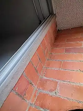 You-sexy-starr webcam