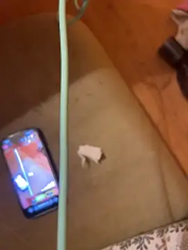 69sexyiestass webcam