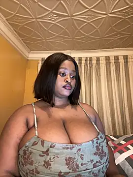 Bella-Porsche webcam