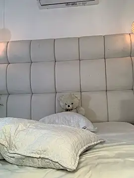 Alexa_Handler webcam