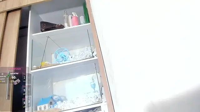 AllisonCherris webcam