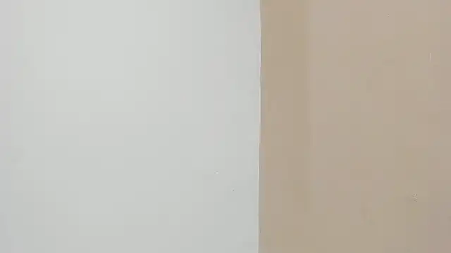 Michelle_Saenz_ webcam