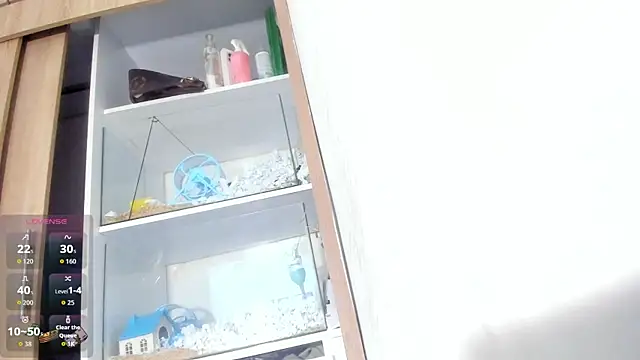 AllisonCherris webcam