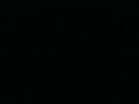 Tigerhill2023 webcam