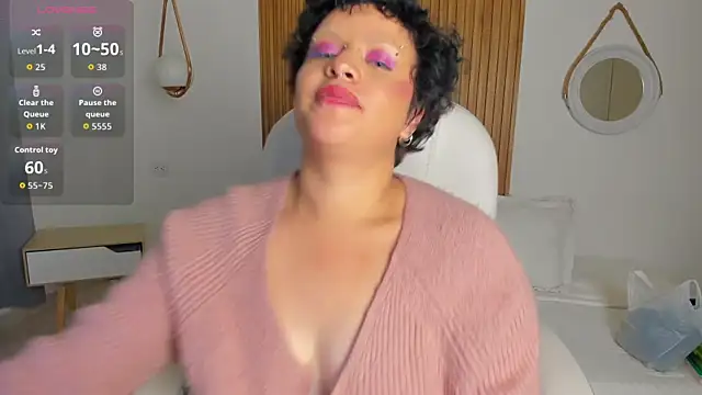 Alaska_deluxe webcam