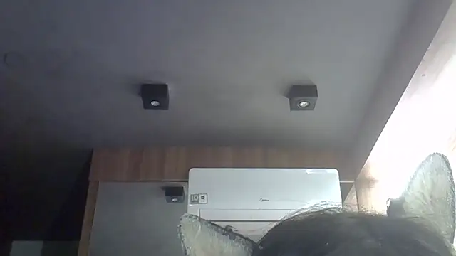 SkinnyKitten webcam