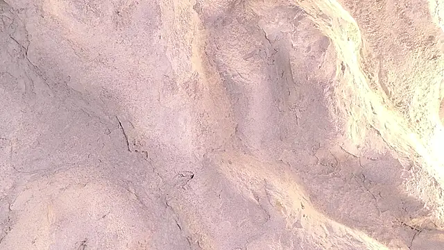 Preview of bella_mush