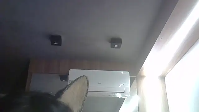 SkinnyKitten webcam