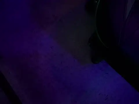 chronic_vibez webcam