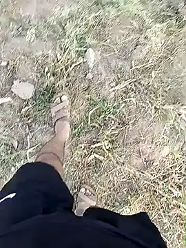 Forest_lover24 webcam