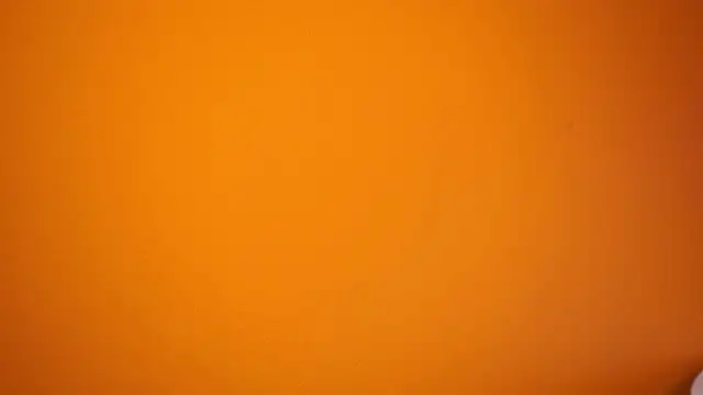 CataleyaSyrene webcam